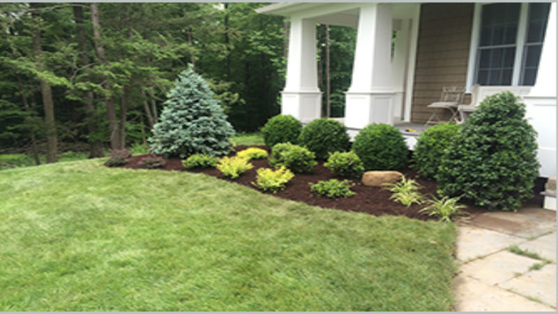 How to Identify a Good Service of Lawn Care in Long Island NY