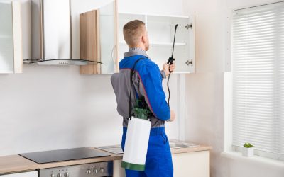 Comprehensive pest control services in Rochester, MN, for a safe and pest-free home