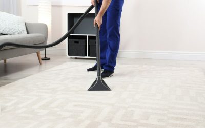 Revive Your Carpets to Their Former Glory with the Best Carpet Cleaners Near Beloit, WI